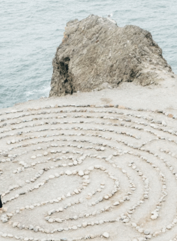 the wellness journal magazine