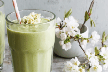 the wellness journal protein green goddess smoothie recipe