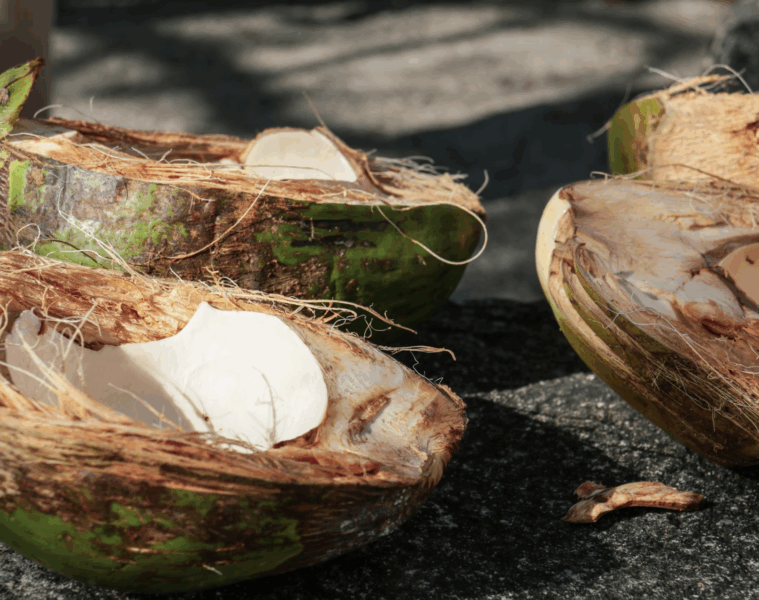 Beauty Benefits of Coconut oil