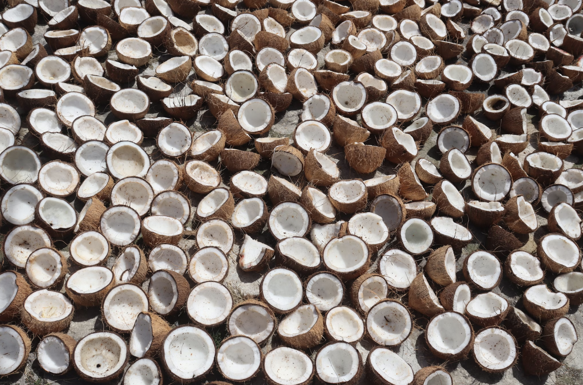 Beauty Benefits of Coconut oil